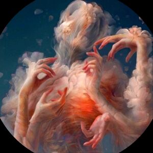 Meet your Posher, Kallie